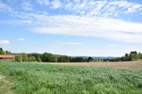 Ausblick Richtung Kirnbachtal und Bayericher Wald