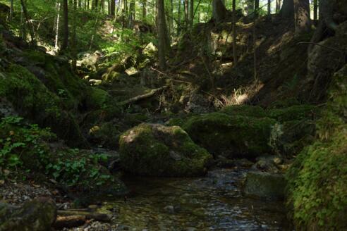 Ameringgaben und Felsenlabyrinth
