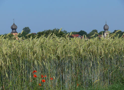 Blick auf die Kirchtürme von Neuses am Berg