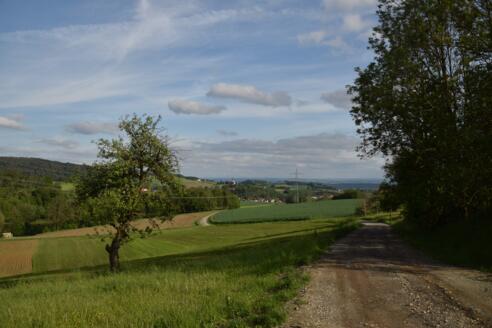 Aussichtspunkt bei Steinberg