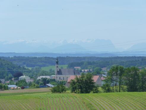 Blick auf Tann
