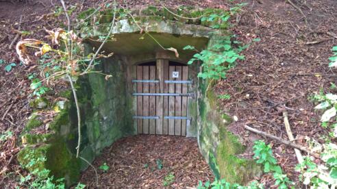 Keller in der Hohlgasse