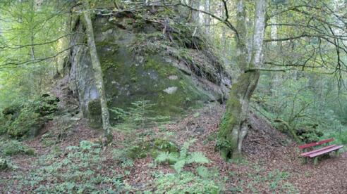 Nagelfluhrippe mit Bank