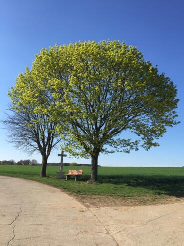 Feldkreuz am Schafhauser-Weg