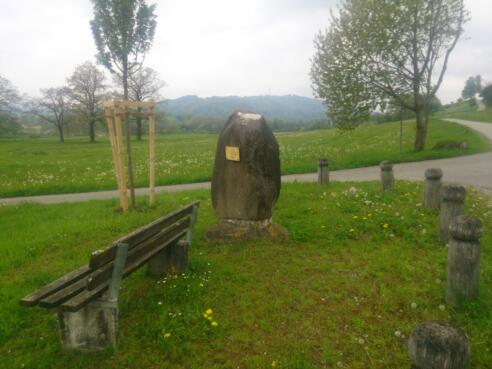 Findling Reiselsberger Sandstein