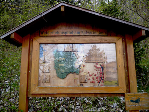 Infotafel am Beginn des Walderlebnispfads.