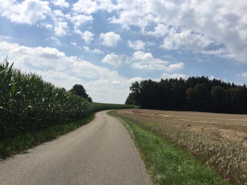 Richtung Reith