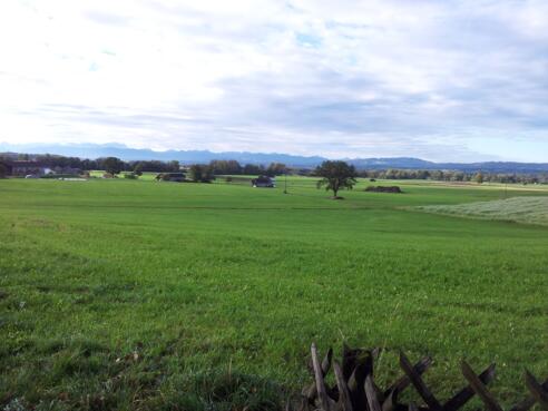 Aussicht südlich von Pähl