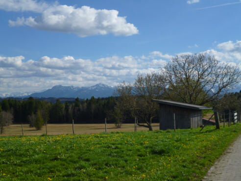 Grandioser Blick auf die Alpenkette vom südlichen Ortsrand von Egenried.