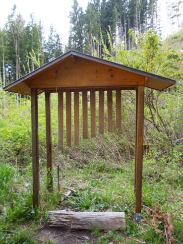 Naturinstrumente wie das Xylophon stimmen auf den Wald ein.