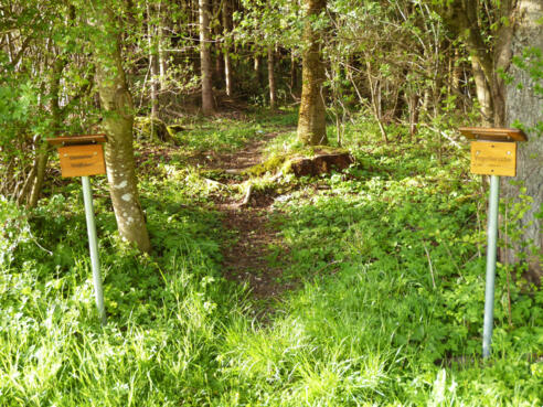Holztafeln weisen auf die am Waldrand wachsenden Sträucher hin.