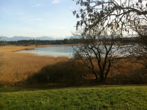 Der Gartensee vor einem malerischen Alpenpanorama
