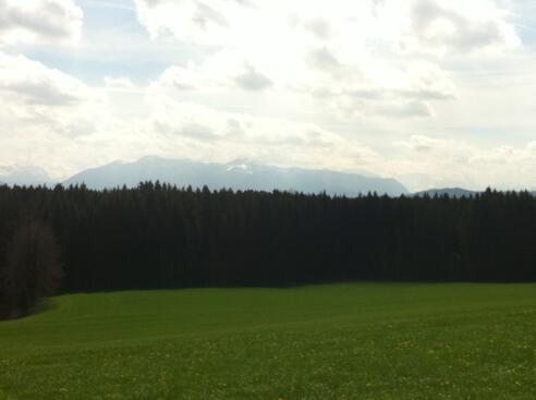 Hinter dem Waldgebiet erheben sich die Alpen majestätisch.