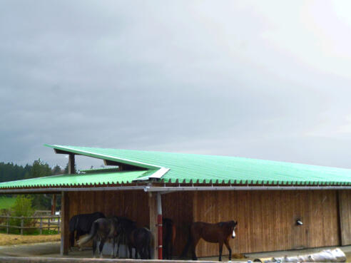 Der Reitstall des Gut Schörghof.