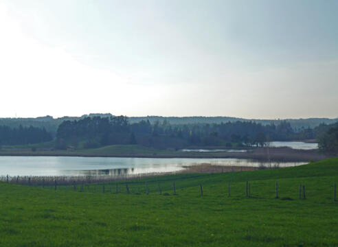Weiter Blick von Iffeldorf über Seng- und Fohnsee.