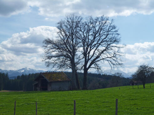 Vom Abzweig zu den Weilern Weidwies, Untersiffelhofen und Schwarzenbach bietet sich ein wunderschöner Blick auf die Alpenkette.