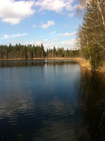 Der Weg führt direkt am malerischen Holzweiher entlang