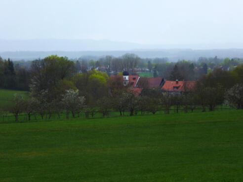 Schöner Blick vom Weg auf das - hinter Bäumen versteckte - Gut Dietlhofen mit dem weißen Türmchen der Hofkirche.