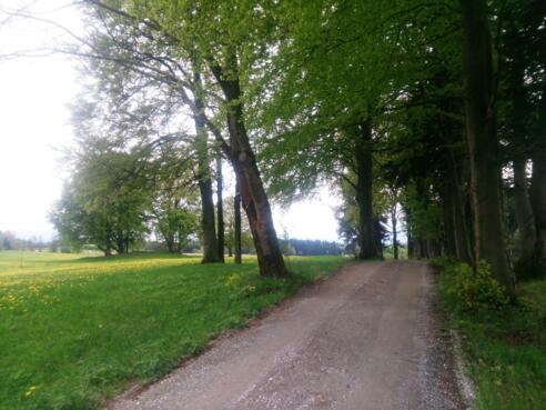 Aussicht bei den Hardtwiesen