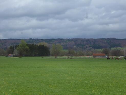 Am südöstlichen Ende des Weidengrabens befindet sich eine Pferdekoppel.