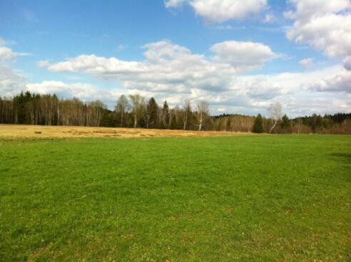 Blick auf das Höllfilz vor einem grandiosem Alpenpanorama