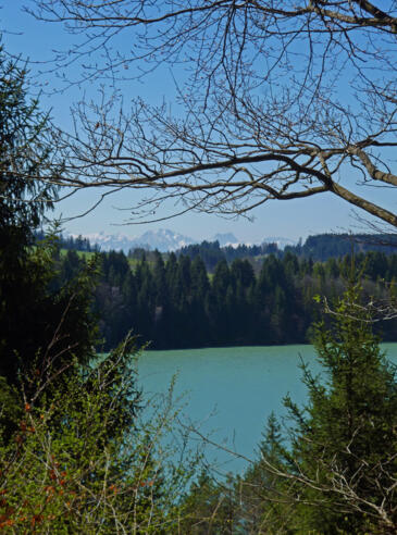 Wunderschöner Blick vom Rand der Heidewiese auf den Lech und die Alpenkette.