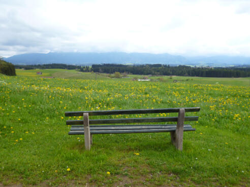 Wenig östlich von Bernbeuren bietet sich ein grandioses Bergpanorama.