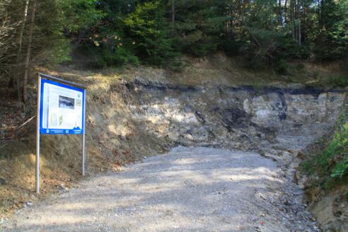 Infotafel am Uhlenberg - im Hintergrund die schwarze Kohleschicht