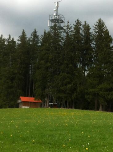 Turm am Brunnhäuslwald