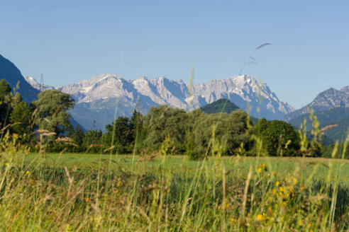 Wanderung - Nach Eschenlohe über Buchenried - Blick ins Wettersteingebirge