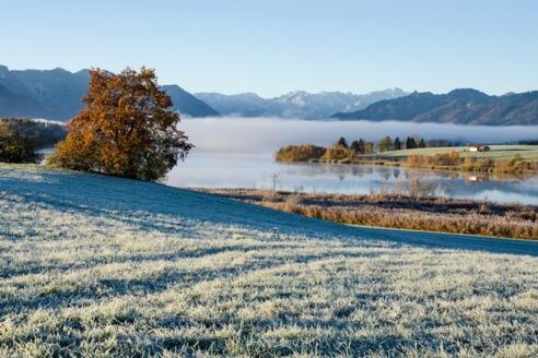 Wanderung - Höhlmühle-Rundweg - Blick auf den Riegsee