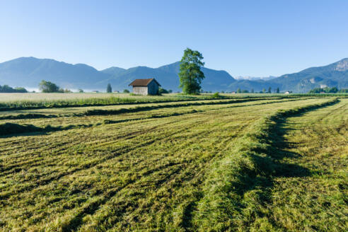 Wanderung - Weiler-Rundweg - Blick in die Berge