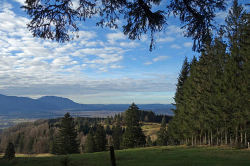 Aussicht Hohentann Richtung Murnauer Moos