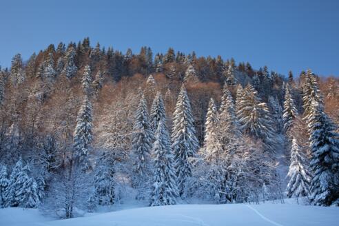 Winterlandschaft in Lenggries