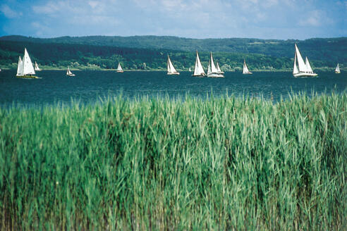 Blick über den Ammersee.