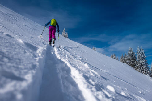 Erst oberhalb der Baumgrenze warten am Schafreuter offene Skihänge.