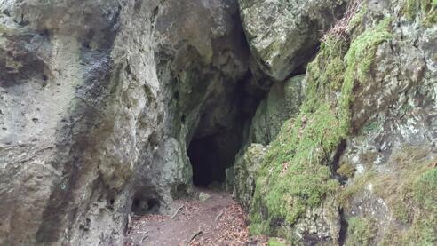 Höhle Nr. 31