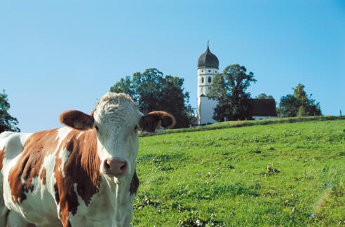 Bei Münsing Holzhausen.