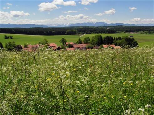 Zellbachtal bei Dietramszell