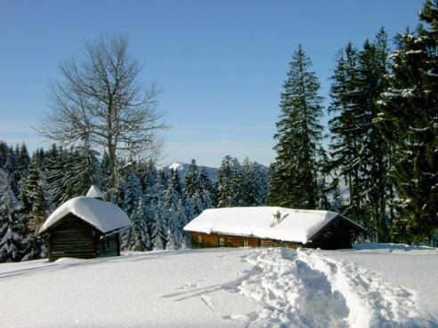 Schwaiger Alm Winter