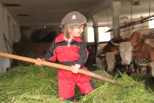 Der kleine Bauernhof