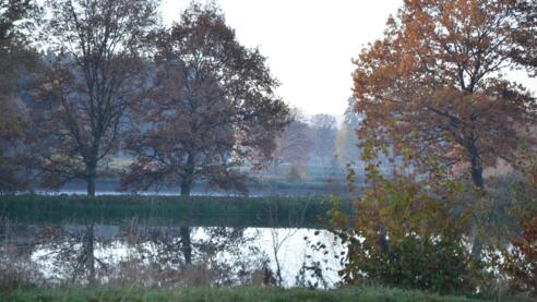 Fischteich im Herbst