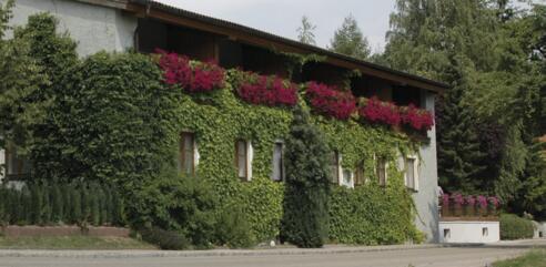 Pension &quot;Zur Linde&quot;