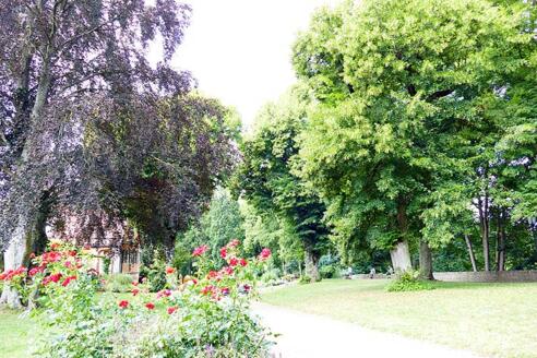 Der Burggarten an der Alten Burg.
