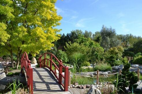 Lotos-Garten, Rothenburg o.d.T.