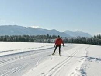 Langlaufloipe Langau Steingaden