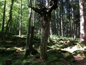 auf den "Alten Schulweg"