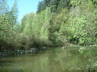 Eichsee bei Rothenbuch