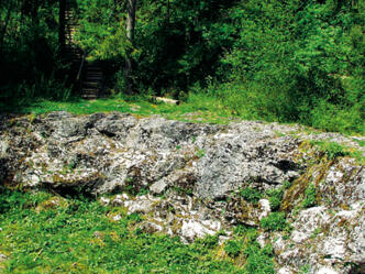 Ein Überbleibsel aus der Eiszeit - der Erratische Block.