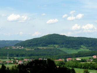 Reisberg (Schlappenreuther Berg)